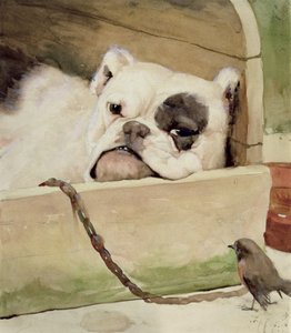Bouledogue, 1927